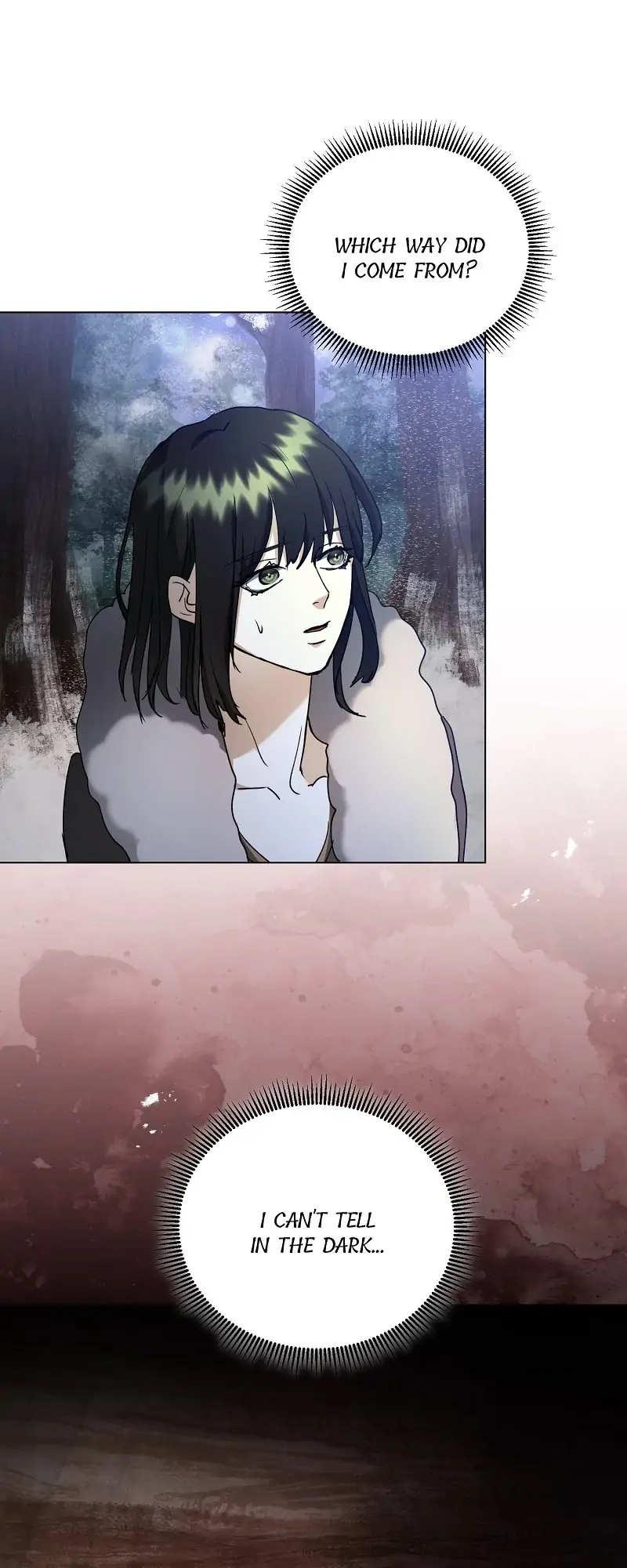 26477101 800 2000 83804